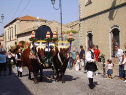 Il matrimonio in Sardegna secondo tradizione