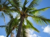 Un viaggio di nozze in un paradiso terrestre: le Hawaii