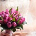 bridal-tulips-1126164-m