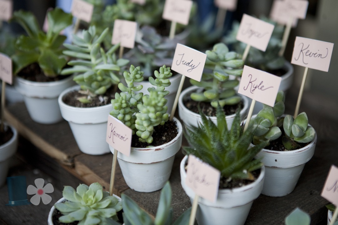 Segnaposto matrimonio: idee per disporre gli invitati nei tavoli