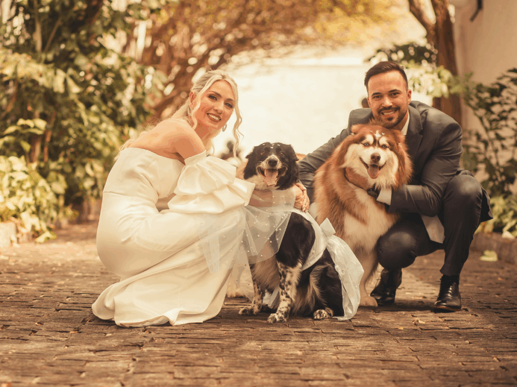 cane al matrimonio