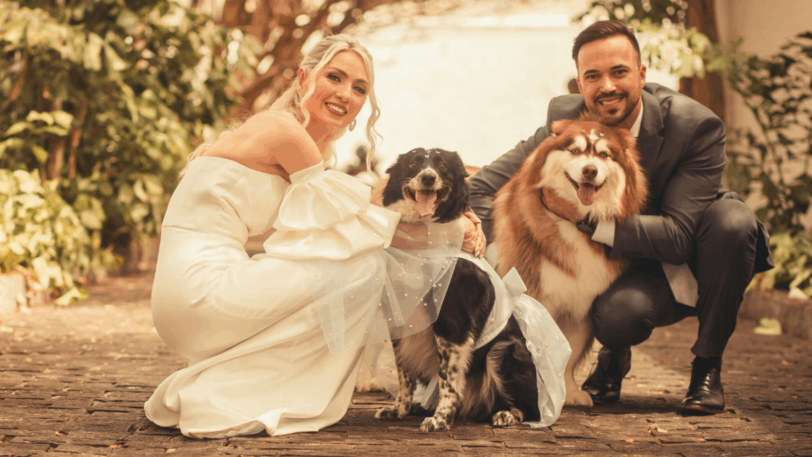 cane al matrimonio
