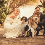 cane al matrimonio